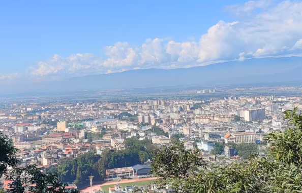 辽宁江苏启动重点产业链共链行动