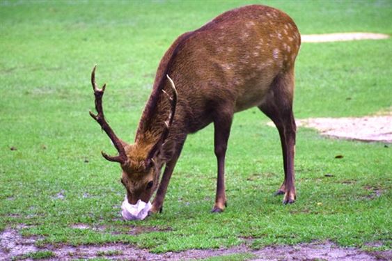 关于征求《海南省支持全生物降解材料产业高质量发展若干措施（征求意见稿））》意见的公告